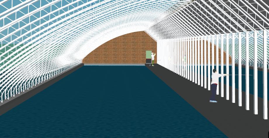 温室大棚垂钓前景,盘点冬季大棚黑坑钓鱼的方法