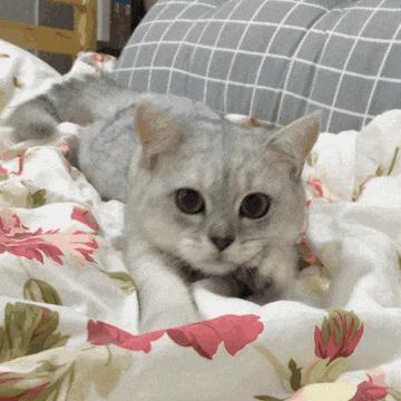 喝醉了，在表妹家睡，隔天表妹脸红地说：以后别来了