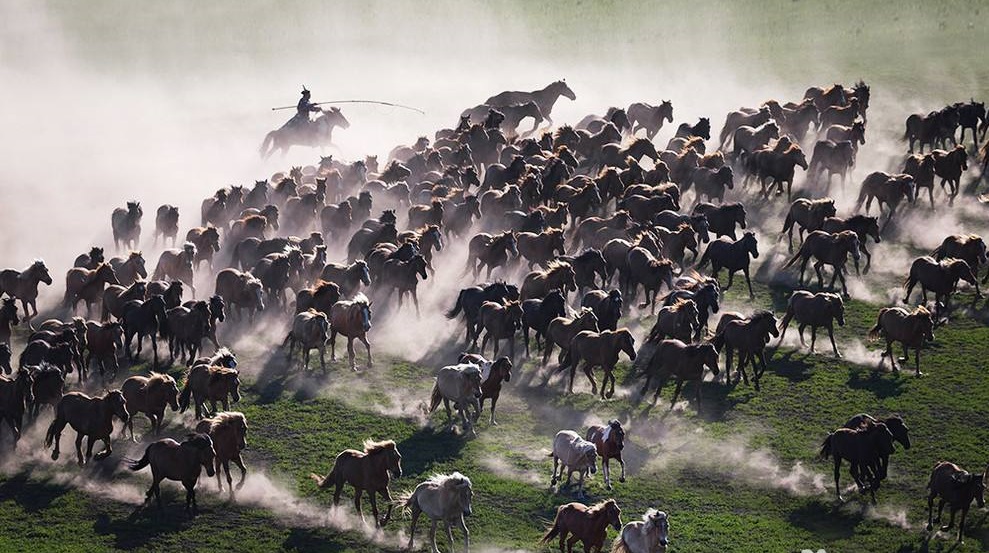 七月份去坝上,7月份去坝上会下雨吗