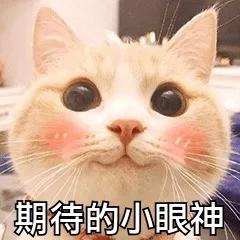 十大美白淡斑精华测评,公认最好用的4款美白精华