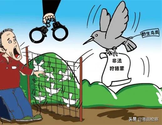 以案释法|诱捕麻雀法不容，抓！