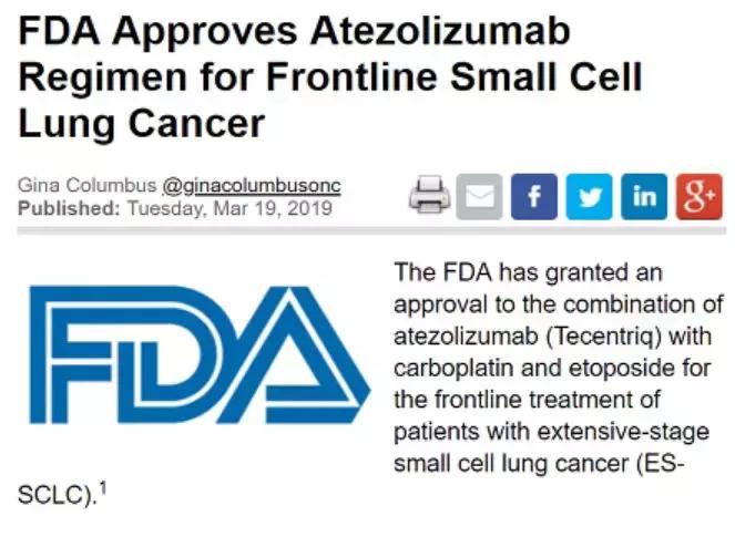 2022小细胞肺癌一线治疗方案,小细胞肺癌最新上市药