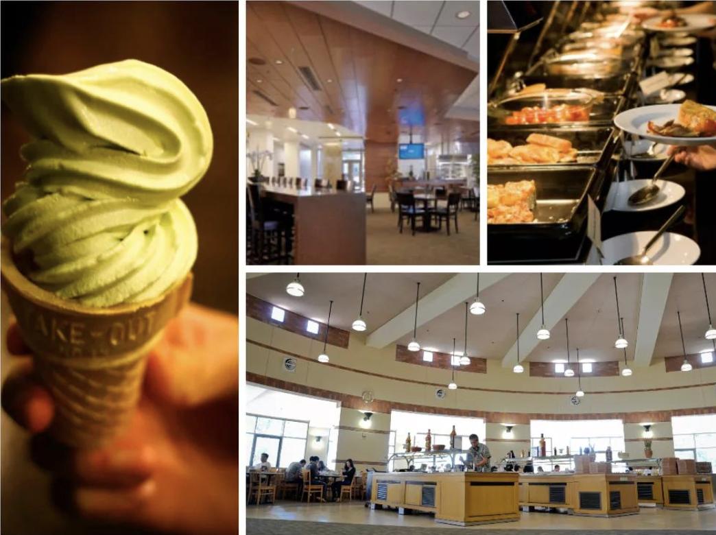 美国奥运会冠军最多的大学,美国奥运奖牌最多的大学