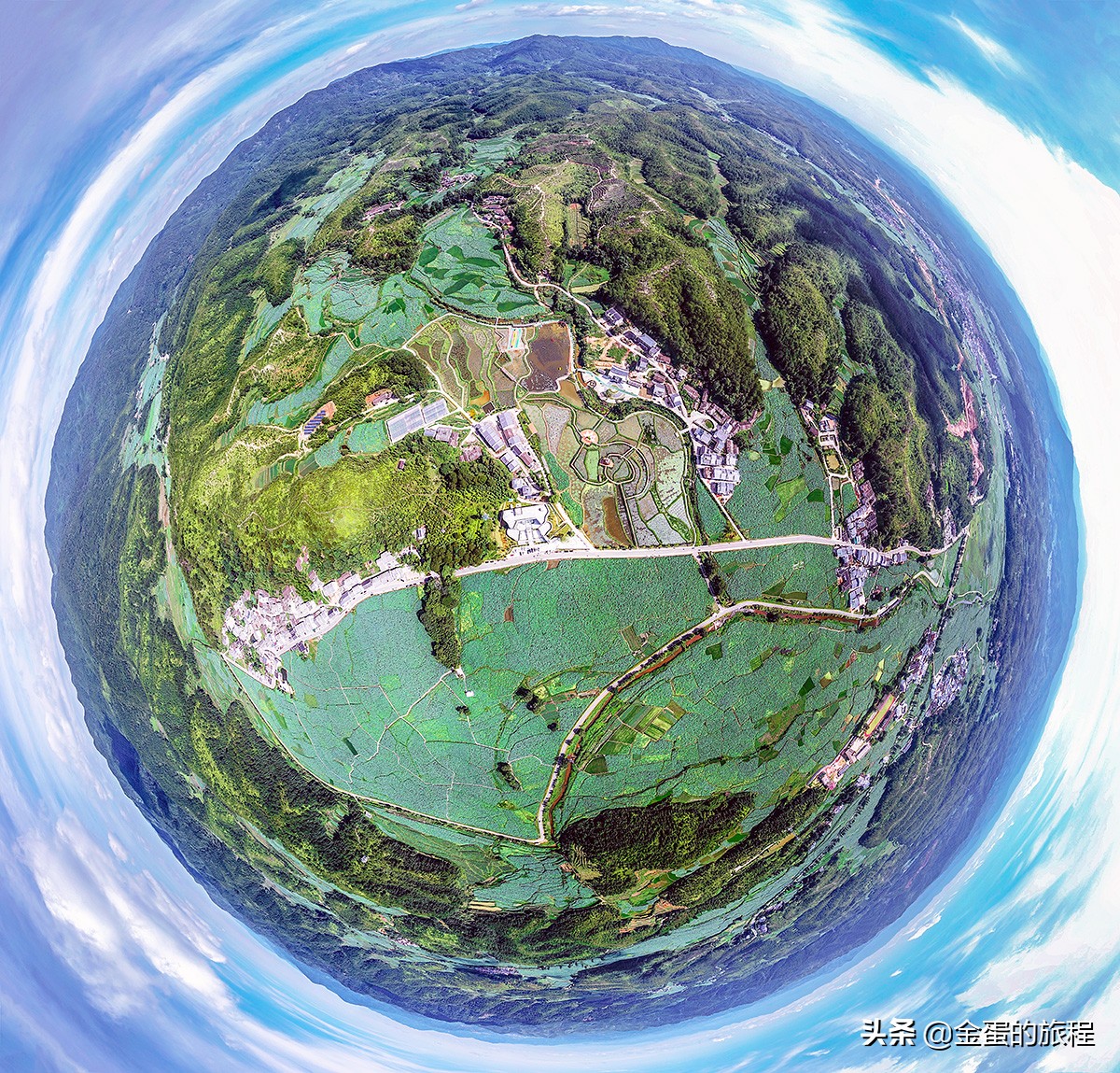 全国最大的荷花养殖基地,中国最大荷花园