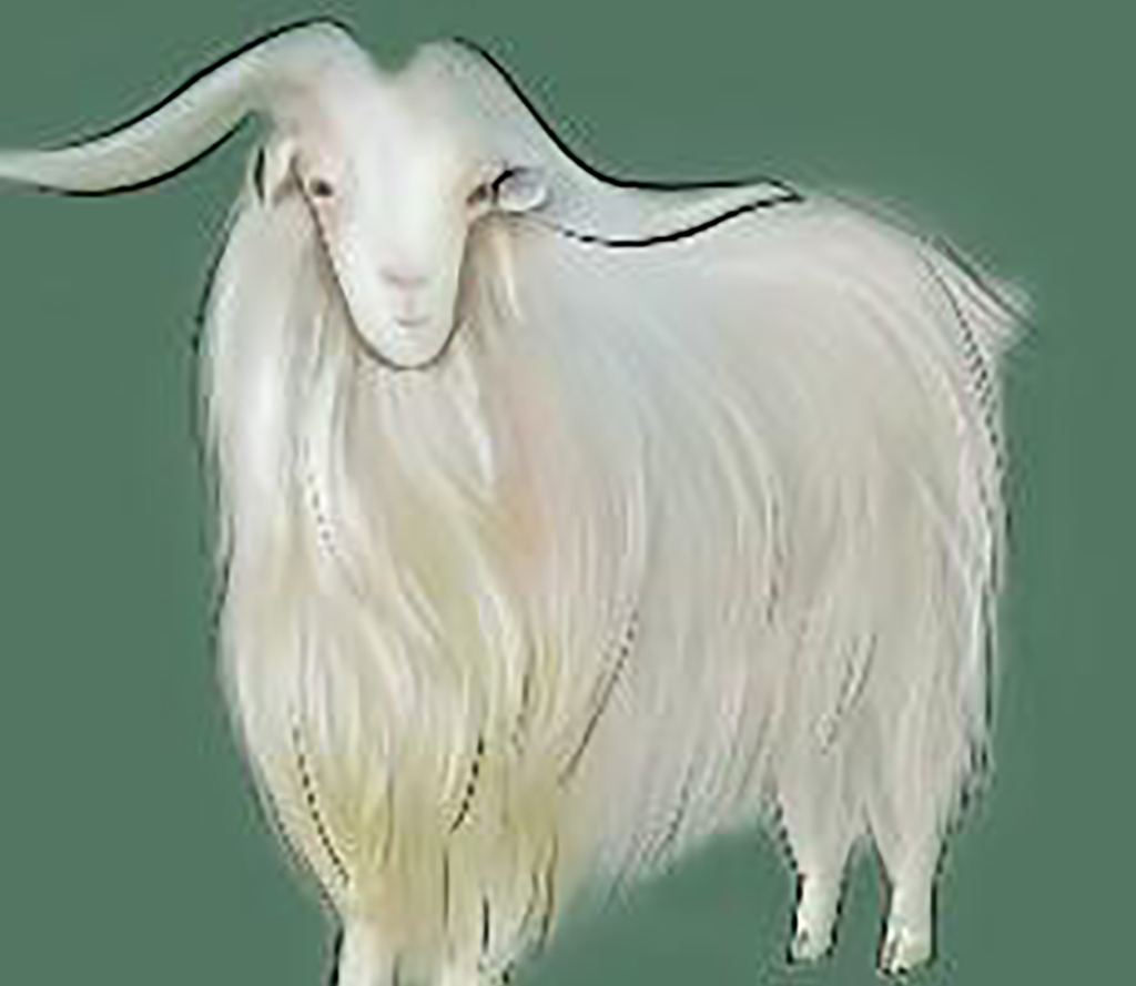 今年财神鼎力相助的属相,未来三年财库大开的生肖