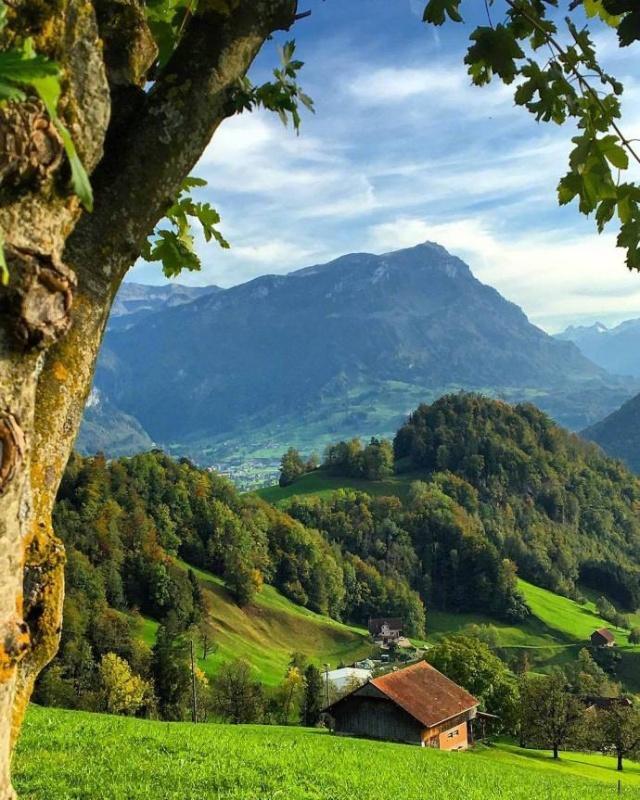 形容一个人阳光正能量的成语,形容人正能量的六字成语