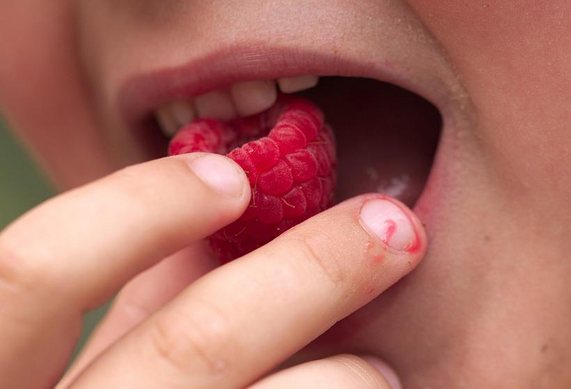 乳牙脱落后的最佳处理方法,小孩的第一颗乳牙脱落要怎么处理