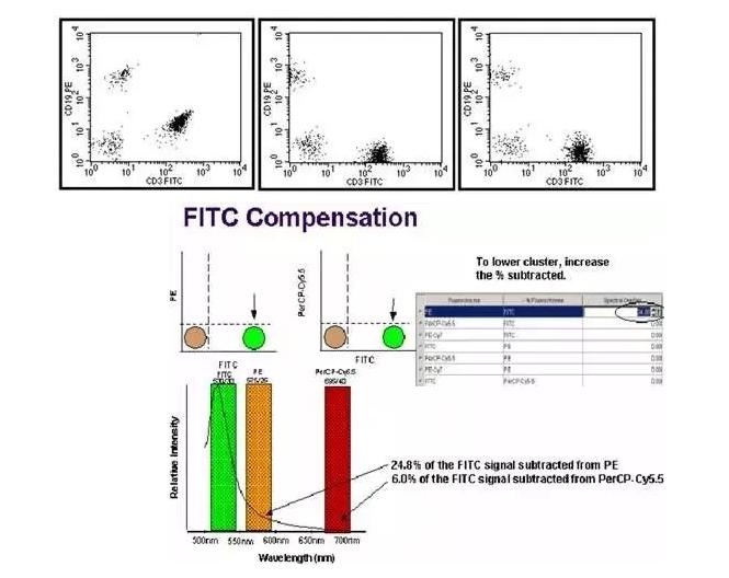 细胞实验基本操作,流式细胞实验操作视频
