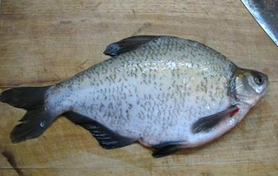 厨之味教你红烧扁鱼的最正宗做法