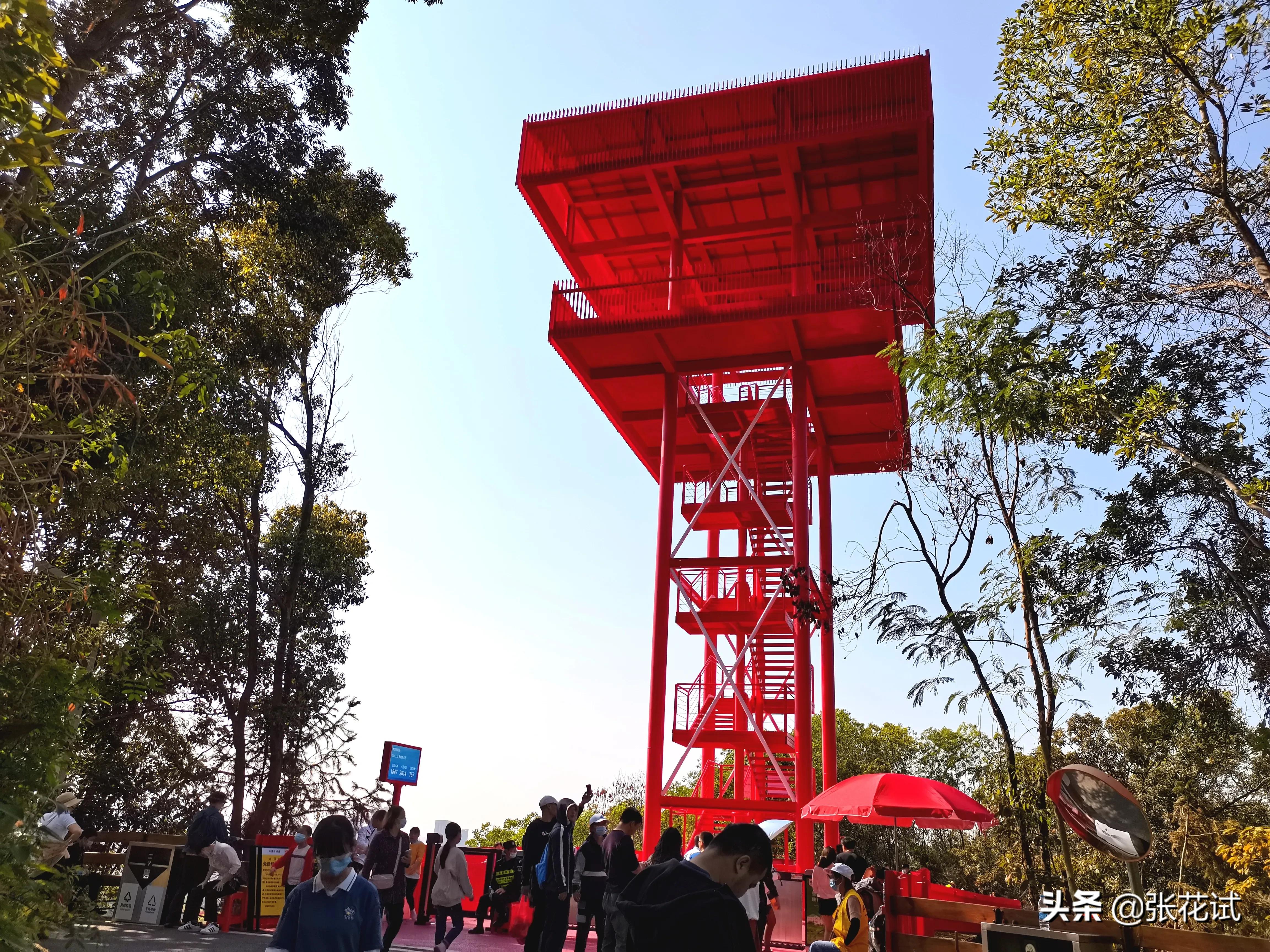 新春踏上深圳光明“虹”地毯，牛年红红火火