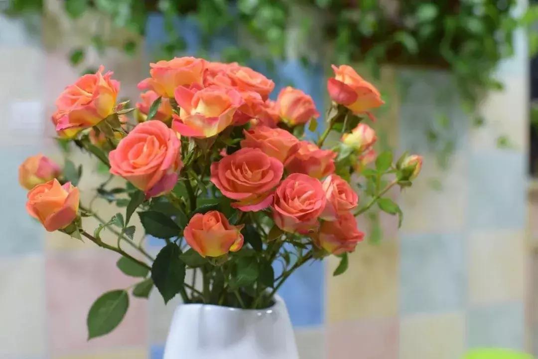 那些年你爱过的小说女配,那些年你爱过的老歌