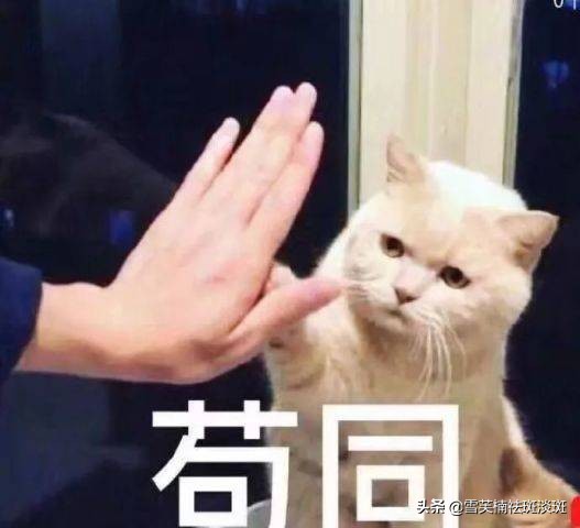 脸上的斑怎么祛斑最快,脸上祛斑最有效的方法