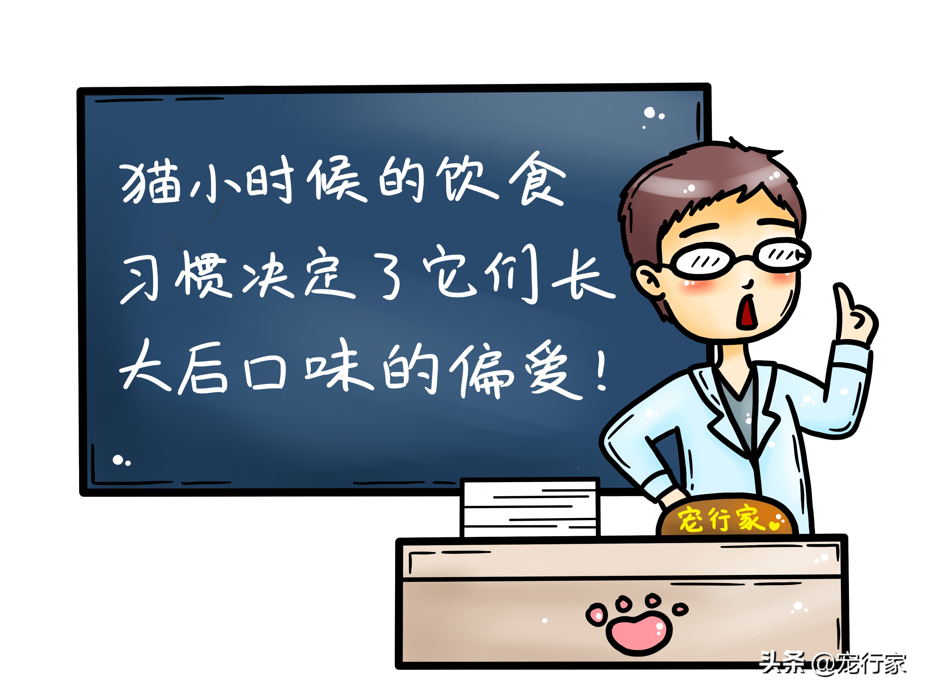 生骨肉猫吃得少,猫粮生骨肉的喂养方法