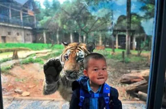 昆明玻璃栈道有哪些,昆明景点之玻璃栈道