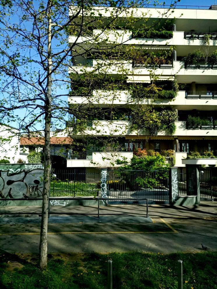 设计师袁文,袁文设计师