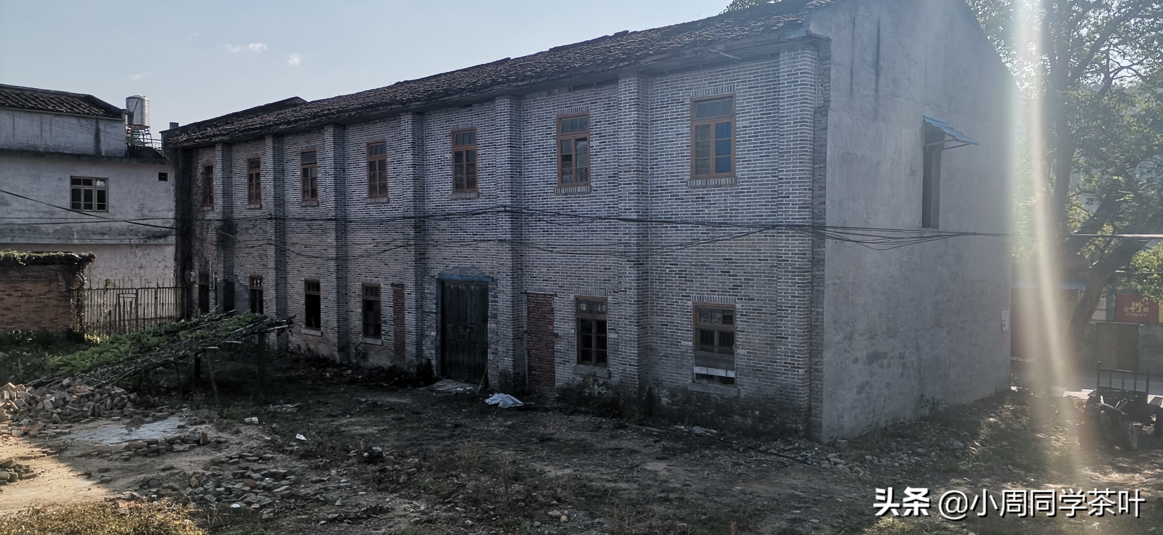 小周同学茶叶,小周同学的茶叶