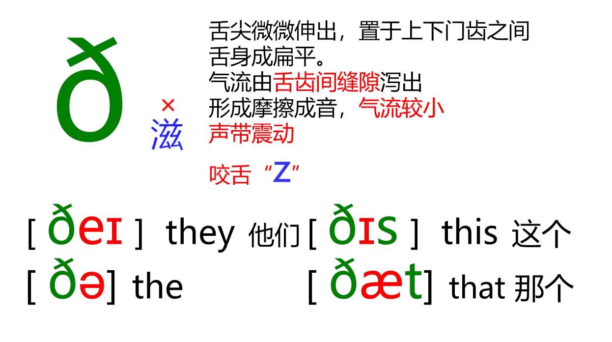 48张国际音标卡片大号,音标48个卡片