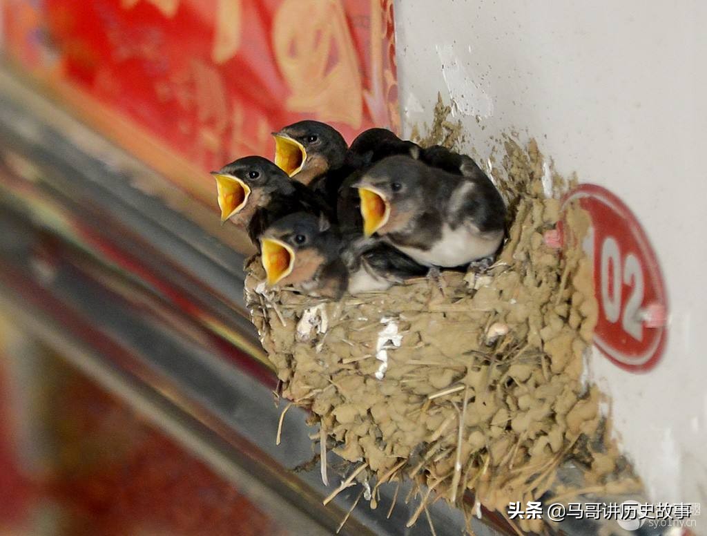 娣囧幙瀵掓硥鏅偣,娣囧幙鏈濇瓕瀵掓硥鍦板潃