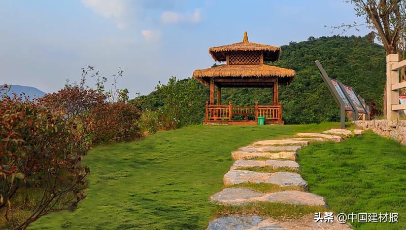 从内心的美好愿望出发,从内心热爱到理想所在