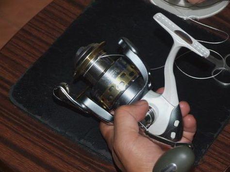 怎样成为钓鱼高手,如何成为钓鱼高手原神