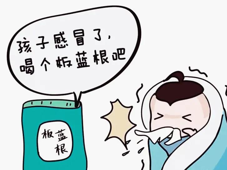 中药板蓝根的功效与作用,谈中药的网红