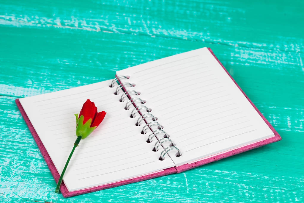 刘睿丁芷涵：《昆虫记》读后感