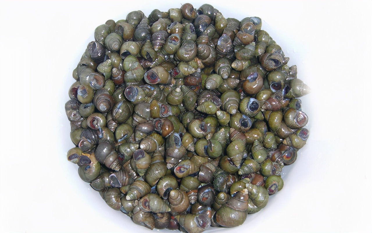 如何简单制作好吃又正宗的螺蛳粉,好吃的螺蛳粉自己在家就能做