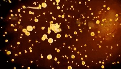 每一个都那么拼命前进，我们还好意思去选择性别吗？