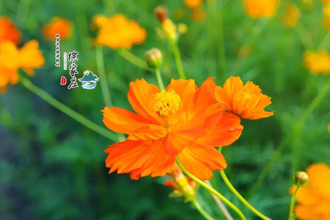 清远七天玩乐,清远一日游最佳景点一览表最新