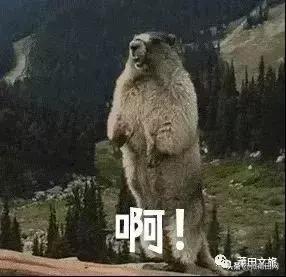 湄洲岛好玩还是九龙谷,去莆田先到九龙谷还是湄洲岛