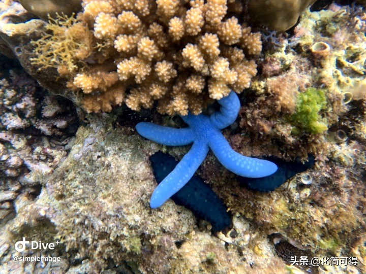 600元玩转澳门三天两夜全攻略,5000块钱玩菲律宾六个海岛