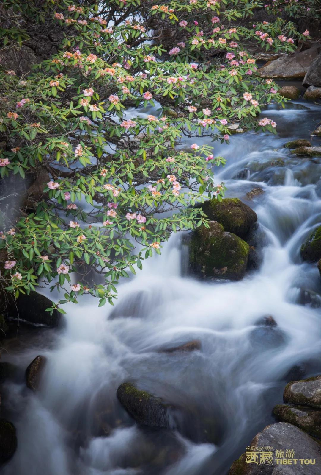 钘忎笢鏄庣彔鏄岄兘瑙嗛,鏄岄兘涓轰粈涔堝彨钘忎笢鏄庣彔