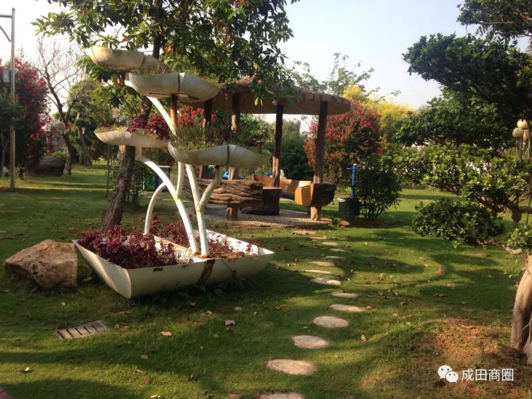 成田文体公园国庆,成田镇文体公园