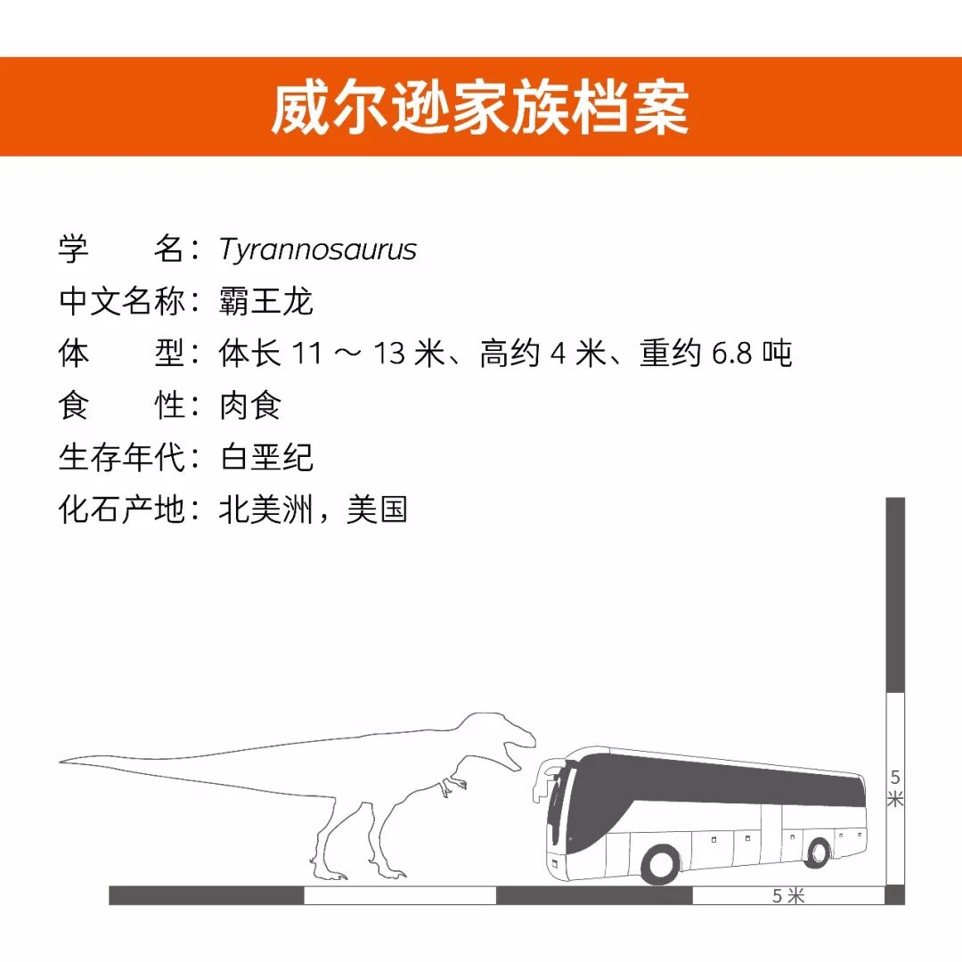 孩子不可错过的PNSO恐龙百科大全——真正的王者霸王龙威尔逊