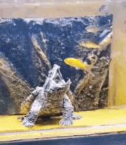 网上买的连衣裙到货了,店家连夜打电话跪求删除好评照片太尴尬了