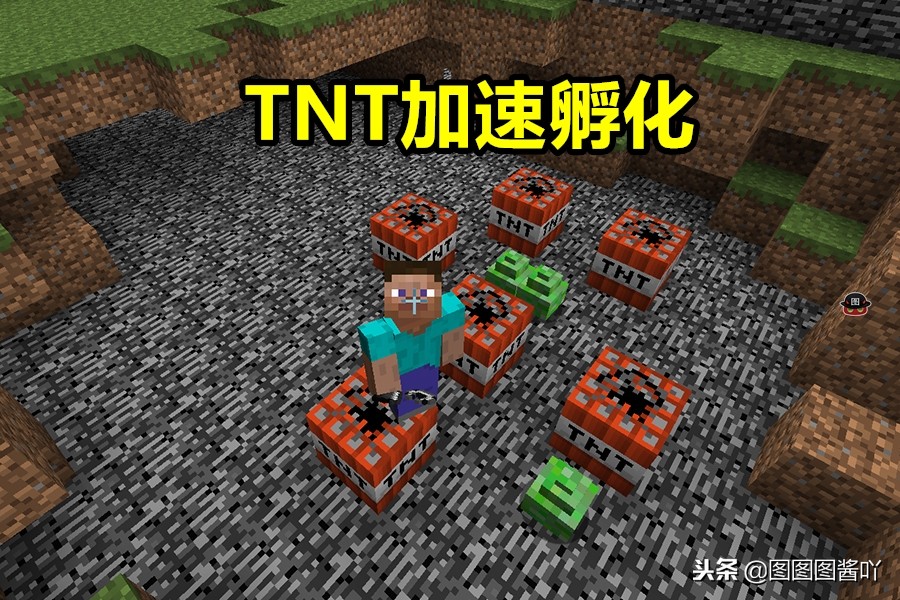 我的世界如何养一只苦力怕,我的世界怎么收养苦力怕