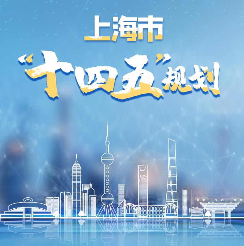 上海枫泾发展,上海金山区枫泾未来发展