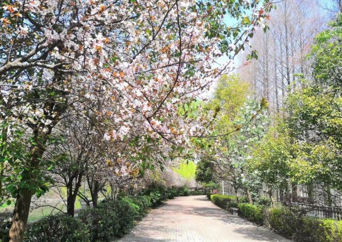 荆楚理工值得上吗,荆门荆楚理工分数线