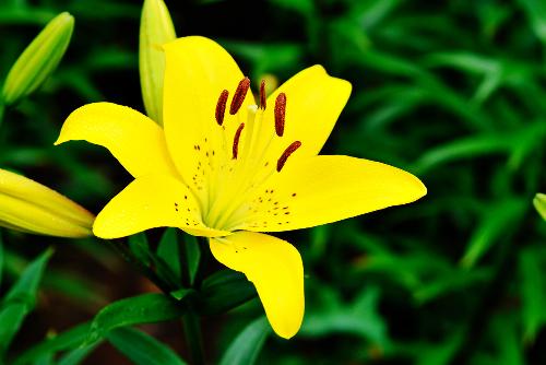 威廉·布莱克：一沙一世界，一花一天堂