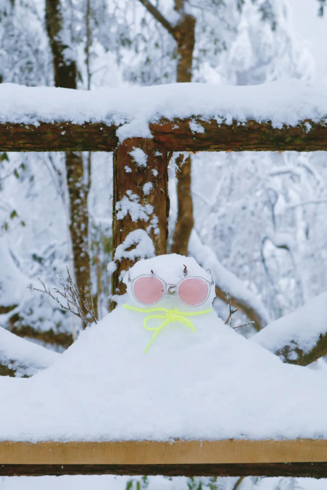 雅安旅行攻略亲子游,雅安市旅行攻略自由行路线