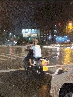 老虎：这是我准备养大吃的，你来凑什么热闹