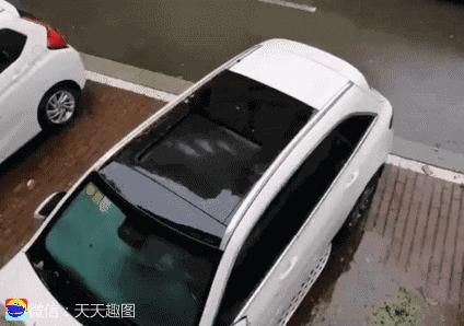 搞笑动图gif图片合集,搞笑动图gif微信可爱表情包