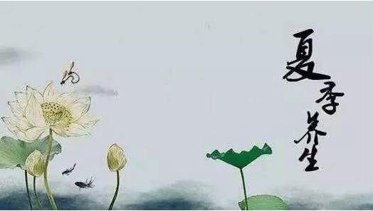 养乃世家卡曼诺羊奶央视广告,养乃世家新出的卡曼诺臻品