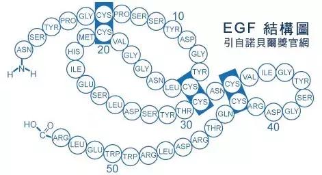 冻干零食真相,揭秘冻干粉好用吗