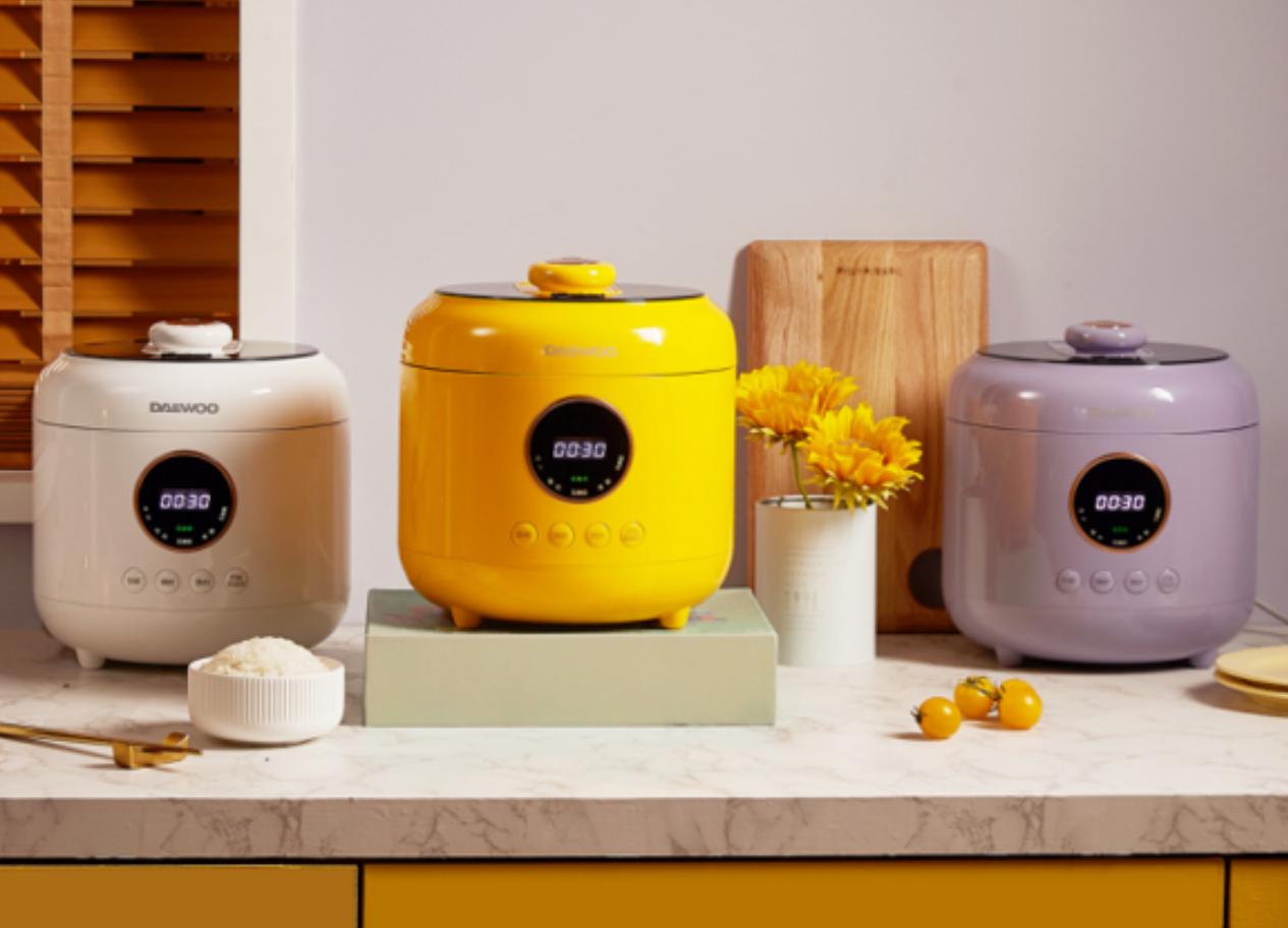 一锅两用双胆,一锅多用多功能的压力煲