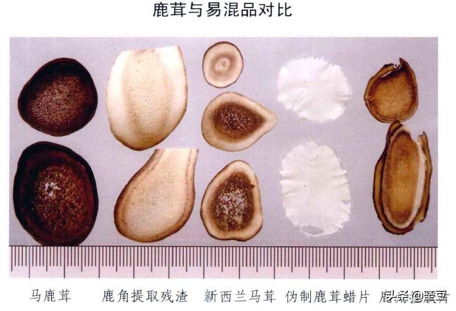 鹿茸造假事件,鹿茸造假手段有哪些