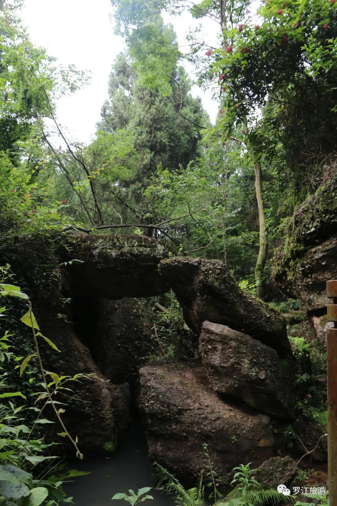 罗江赏梅花,罗江的礼物去哪买