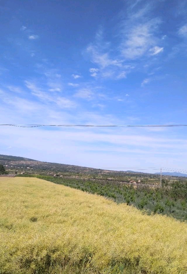 陕西十大避暑的地方,咸阳避暑旅游攻略