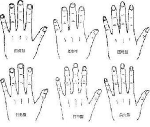 手分为哪几种类型的手,手表手镯戴哪只手比较好