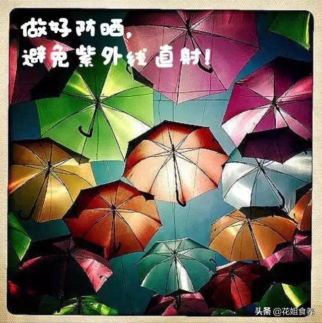 华农兄弟中暑事件,华农兄弟竹鼠中暑拿去河边